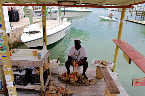 George, aka Showbo makes fresh Conch Salad next to Harbour View Marina