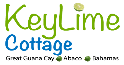 KeyLime Logo
