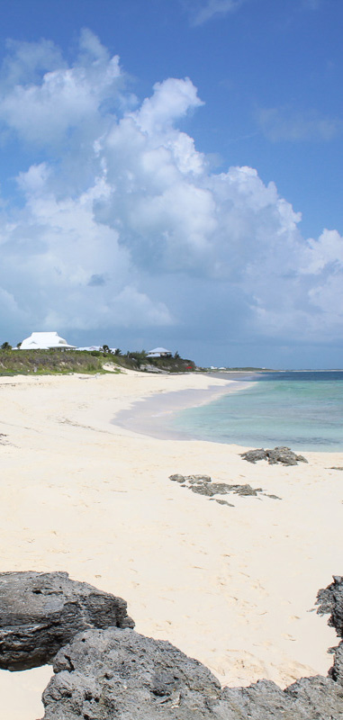 The beach in Orchid Bay