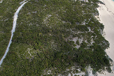 Beachfront Resort Lot On San Salvador, The Bahamas