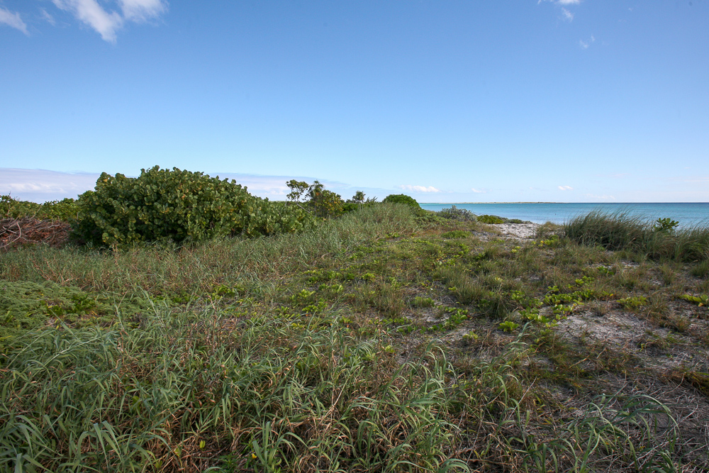 Vacant Waterview lots for sale in Harris Bay, San Salvador, The Bahamas