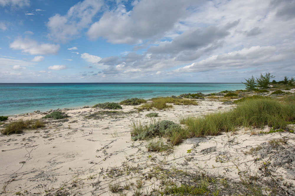 Vacant Waterview lots for sale in Harris Bay, San Salvador, The Bahamas