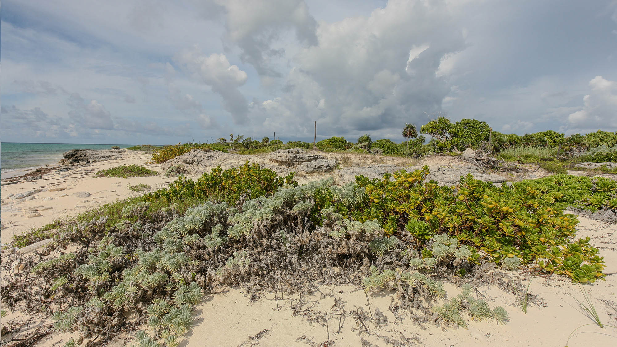 Vacant Beachfront Lot for sale in Snow Bay, San Salvador, The Bahamas