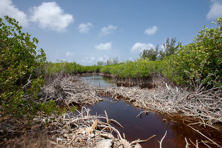 Vacant Waterfront Lot for sale in Marshall Tract, San Salvador, The Bahamas