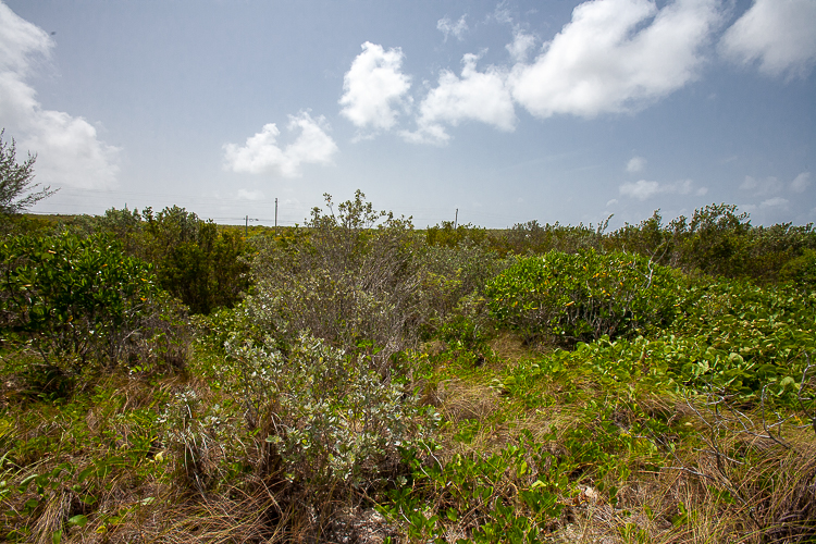 Vacant Waterfront Lot for sale in Marshall Tract, San Salvador, The Bahamas