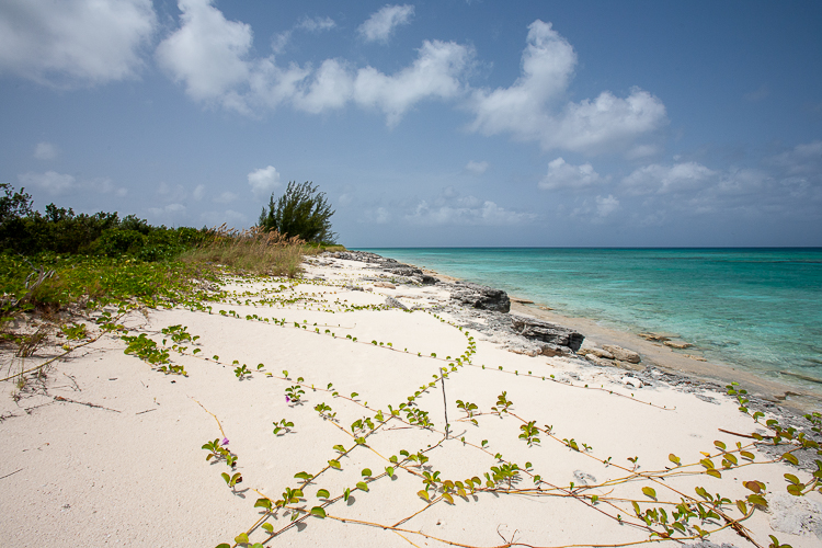 Vacant Waterfront Lot for sale in Marshall Tract, San Salvador, The Bahamas