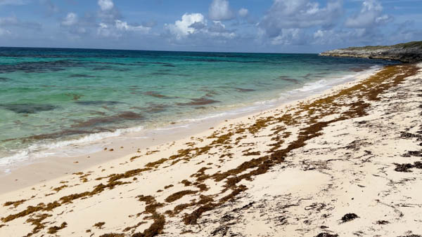 Columbus Landings 4 - French Bay