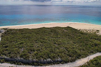 Beachfront Resort Lot On San Salvador, The Bahamas